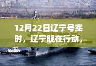 存证 第433页