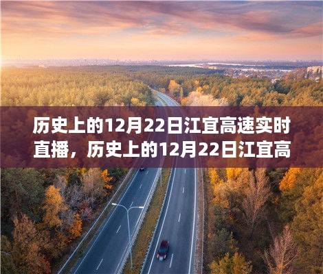 yankongsihai 第4页