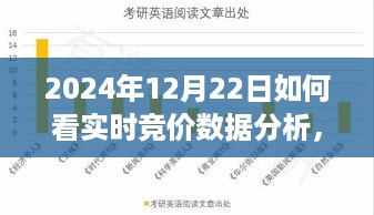 探索自然美景之旅，实时竞价数据分析下的心灵寻觅与宁静港湾体验（2024年12月22日）