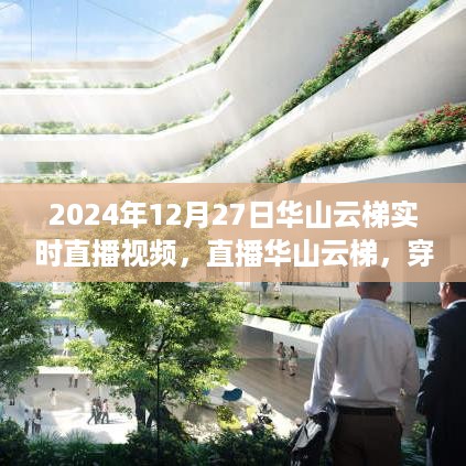 华山云梯穿越之旅，探寻心灵与自然和谐共融的奇妙之旅直播回放（2024年12月27日）