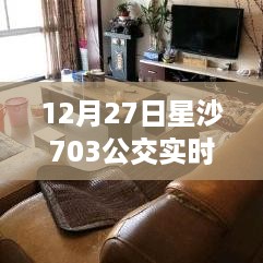 星沙703公交，驾驭变化，探寻自信与成就感的魔法之旅实时查询指南