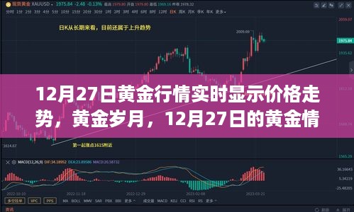 daguanxiangui 第3页