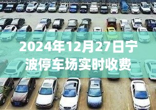 宁波停车场实时收费标准详解，初学者与进阶用户指南（2024年12月版）