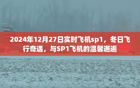 冬日SP1飞机实时飞行体验，与飞机的温馨邂逅在2024年尾冬日时光