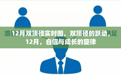 12月双顶径实时图，跃动中的自信与成长旋律