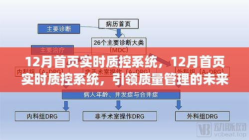 12月首页实时质控系统，引领未来质量管理新篇章