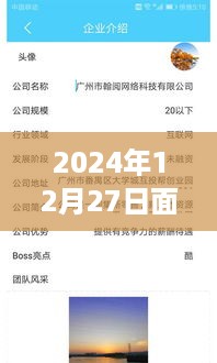 实时翻译软件探索自然秘境，心灵之旅启程于奇妙之旅的遇见