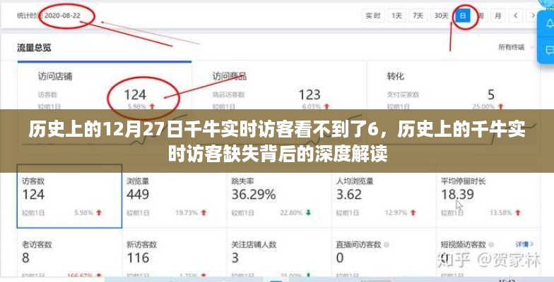 历史上的千牛实时访客缺失背后的深度解读，探寻背后的原因与影响