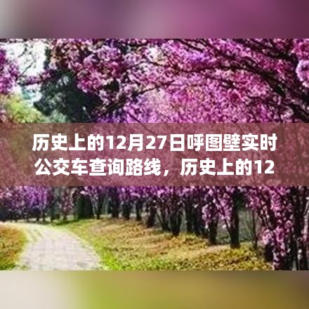 历史上的12月27日呼图壁公交路线探寻之旅，自然秘境与实时查询的完美结合