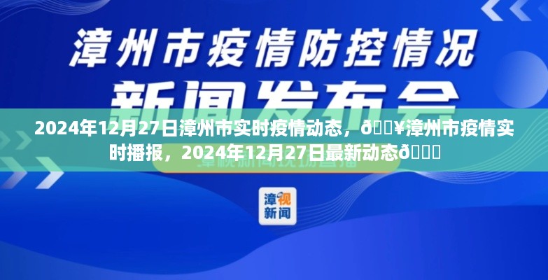 漳州市疫情实时播报，最新动态与动态分析（XXXX年XX月XX日）