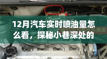探秘隐藏式汽修小店的秘密，12月汽车实时喷油量秘籍分享