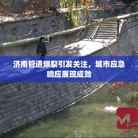 存证 第396页
