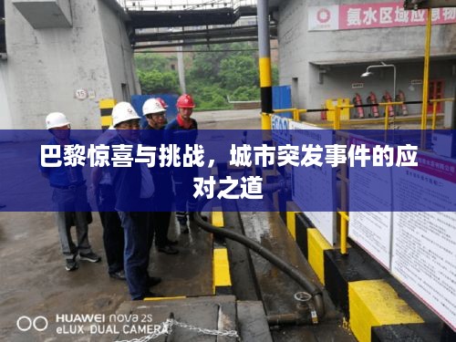 公证管理 第399页