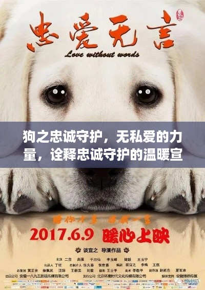 狗之忠诚守护，无私爱的力量，诠释忠诚守护的温暖宣传语