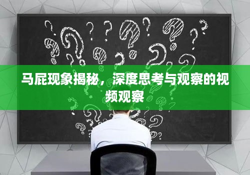 马屁现象揭秘，深度思考与观察的视频观察