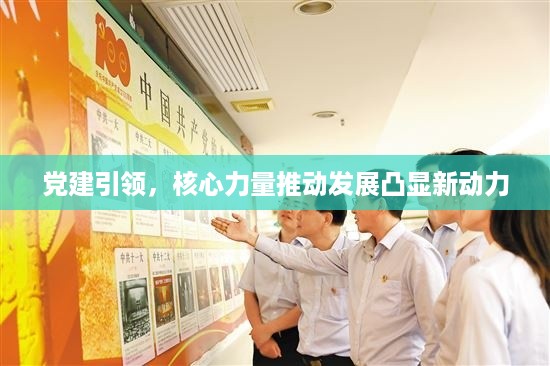 党建引领，核心力量推动发展凸显新动力
