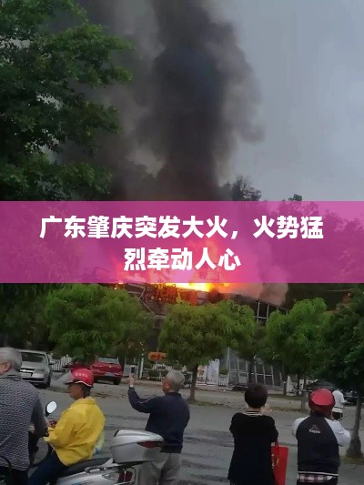 天堂地狱 第3页