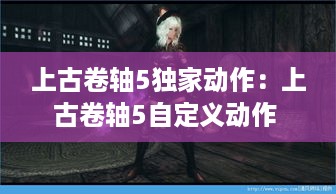 上古卷轴5独家动作：上古卷轴5自定义动作 