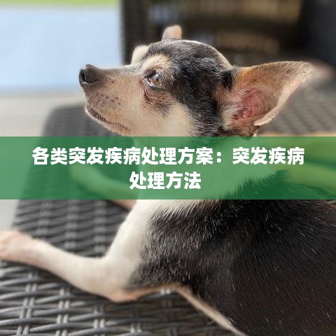 各类突发疾病处理方案：突发疾病处理方法 