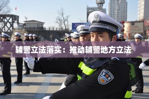 辅警立法落实：推动辅警地方立法 