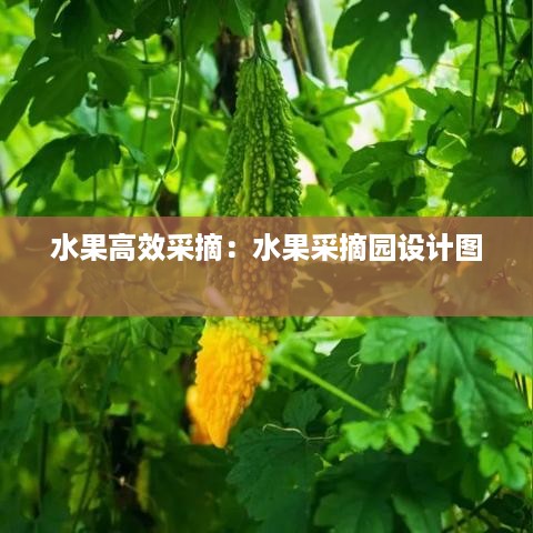 水果高效采摘：水果采摘园设计图 