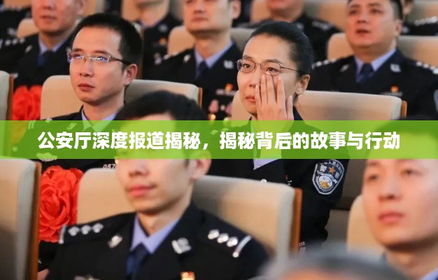 公安厅深度报道揭秘，揭秘背后的故事与行动