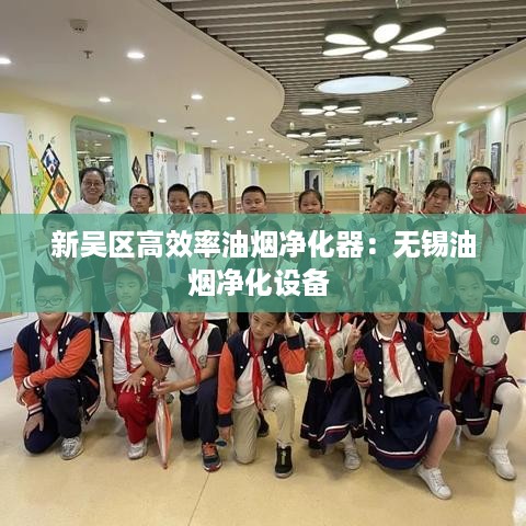 新吴区高效率油烟净化器：无锡油烟净化设备 