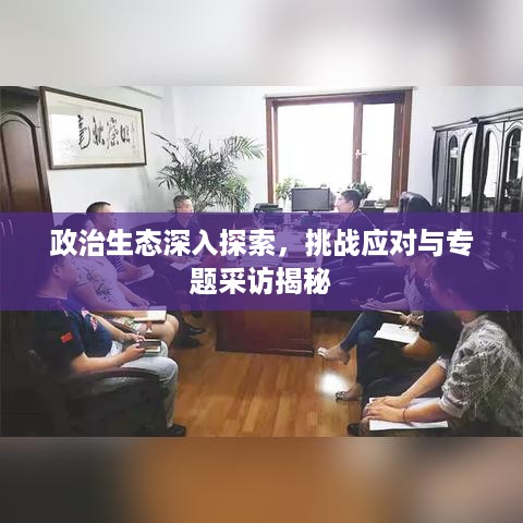 政治生态深入探索，挑战应对与专题采访揭秘