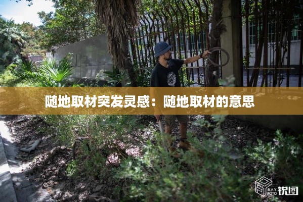 火伞高张 第3页