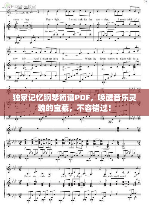独家记忆钢琴简谱PDF，唤醒音乐灵魂的宝藏，不容错过！