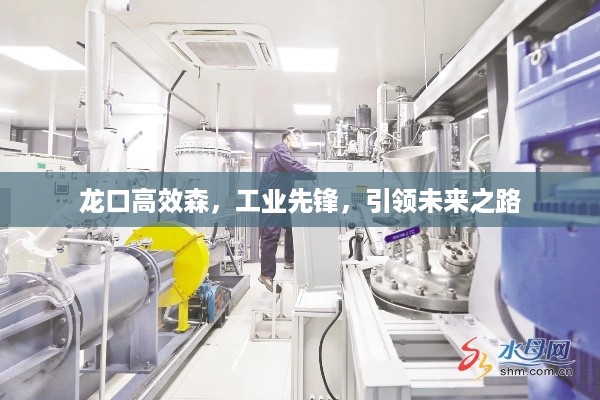 龙口高效森，工业先锋，引领未来之路