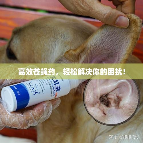 高效苍蝇药，轻松解决你的困扰！