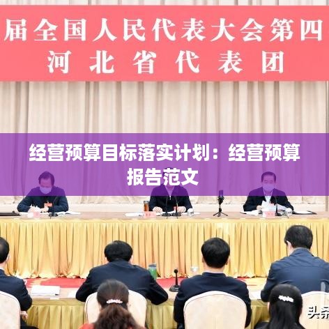 经营预算目标落实计划：经营预算报告范文 