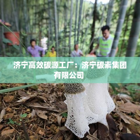 济宁高效碳源工厂：济宁碳素集团有限公司 