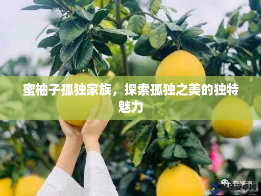 蜜柚子孤独家族，探索孤独之美的独特魅力