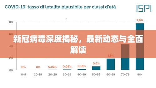 新冠病毒深度揭秘，最新动态与全面解读