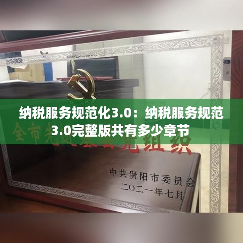 纳税服务规范化3.0：纳税服务规范3.0完整版共有多少章节 