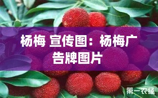步履如飞 第3页