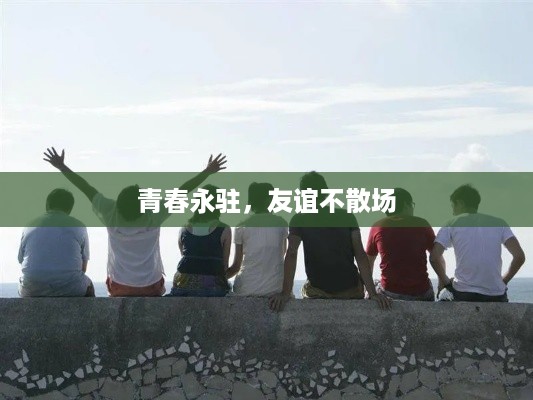 青春永驻，友谊不散场