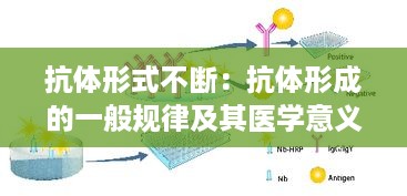 抗体形式不断：抗体形成的一般规律及其医学意义 
