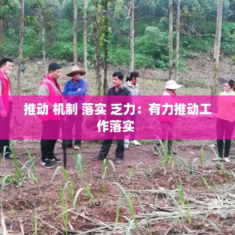 贵极人臣 第3页