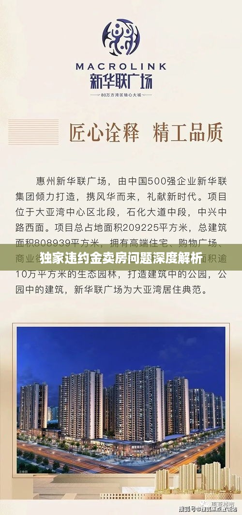 独家违约金卖房问题深度解析