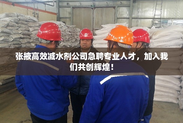 张掖高效减水剂公司急聘专业人才，加入我们共创辉煌！