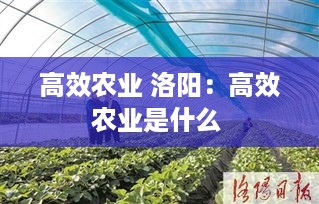 高效农业 洛阳：高效农业是什么 