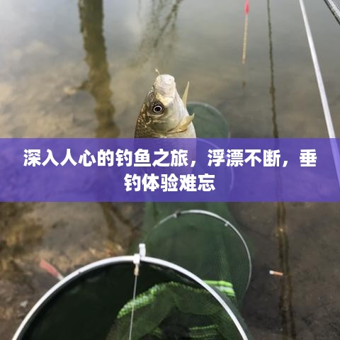 深入人心的钓鱼之旅，浮漂不断，垂钓体验难忘