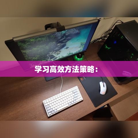 学习高效方法策略： 
