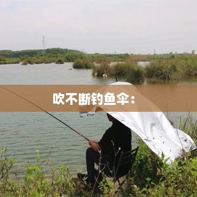 吹不断钓鱼伞： 