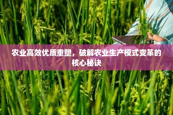 农业高效优质重塑，破解农业生产模式变革的核心秘诀
