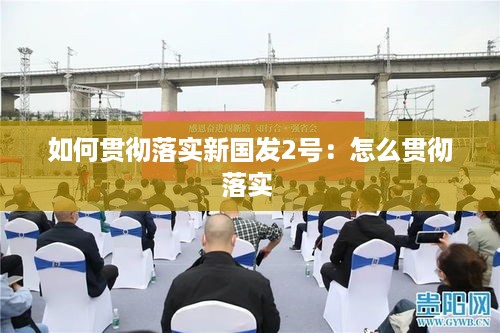如何贯彻落实新国发2号：怎么贯彻落实 
