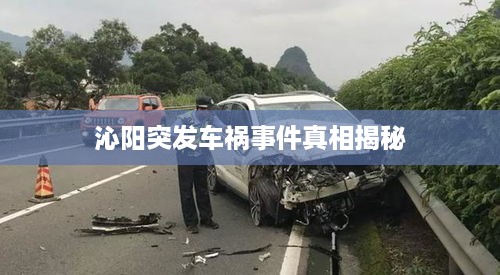 沁阳突发车祸事件真相揭秘
